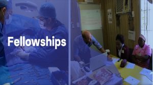 ISN Fellowship Program for Scholars from Developing Countries