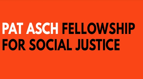 Pat Asch Fellowship for Social Justice, USA