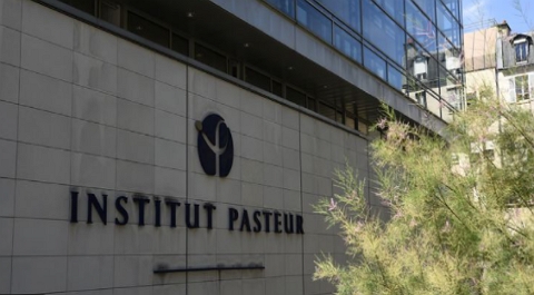 Pasteur-Roux-Cantarini Postdoctoral Fellowships in France