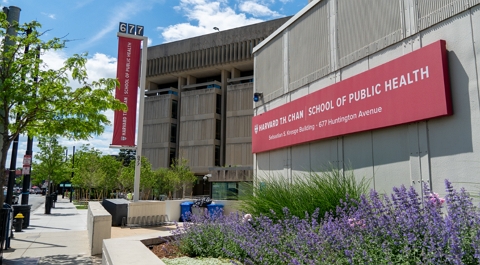 Harvard Lead Fellowship for Promoting Women in Global Health