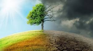 Allianz Climate Risk Award for Researchers