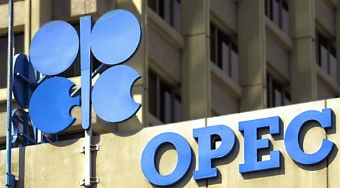 OPEC Fund Internship Progam in Austria