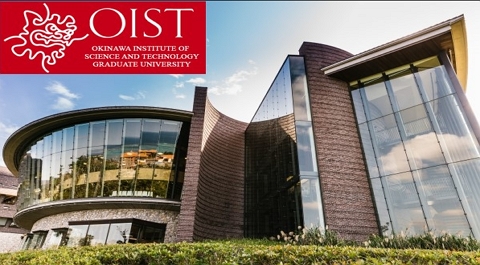 OIST PhD Scholarships and Research Internships (Fully Funded) in Japan