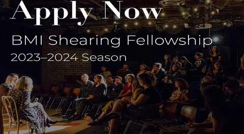 Black Mountain Institute Shearing Fellowship (Fully Paid)