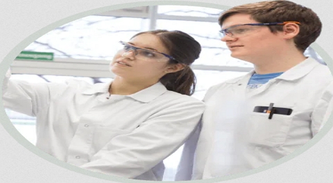 Bayer Foundation Fellowships for Masters, PhD and Medical Students (€10,000)